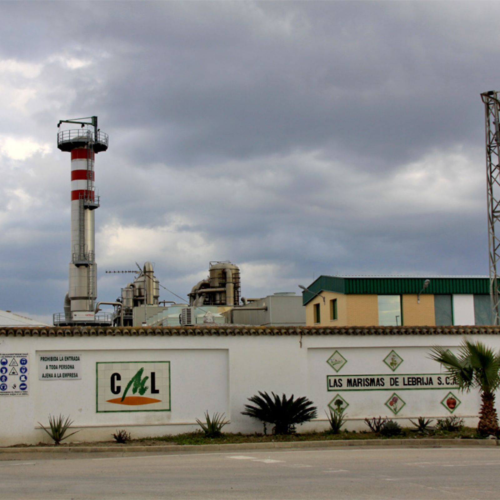 Actuaciones varias en Cooperativa Las Marismas